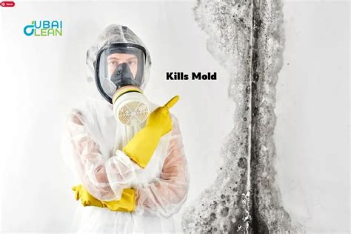 What kills mold permanently