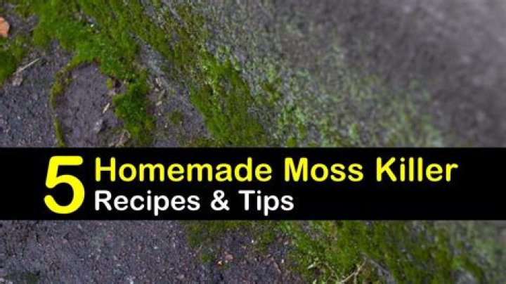 What kills moss permanently