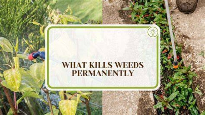 What kills soil permanently