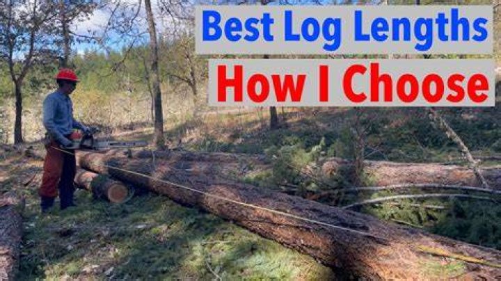 What length do you cut logs