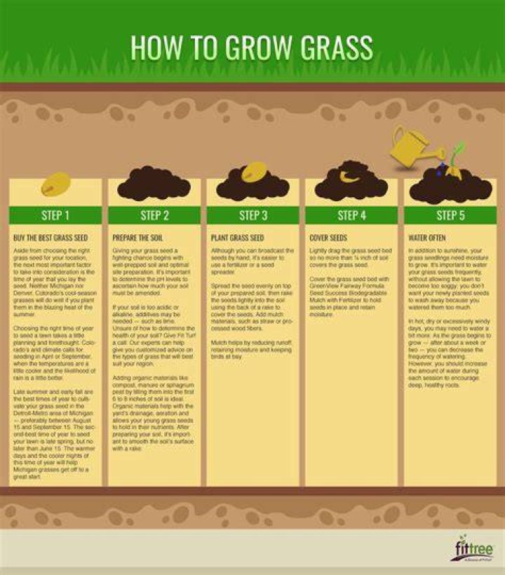 What makes grass grow faster