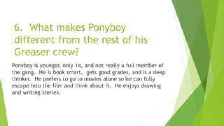 What makes ponyboy different