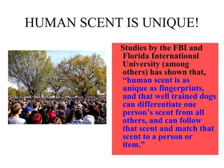 What neutralizes human scent