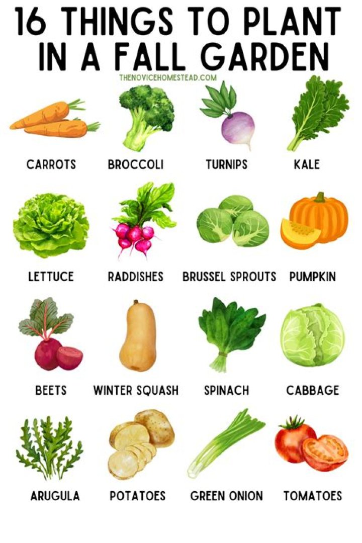 What plant grows during fall