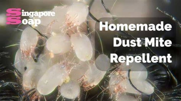 What scent repels dust mites