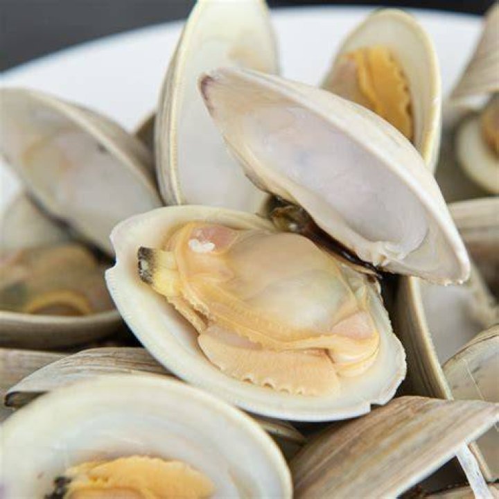 What should I do with clams
