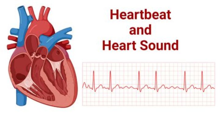 What sound does a heart make