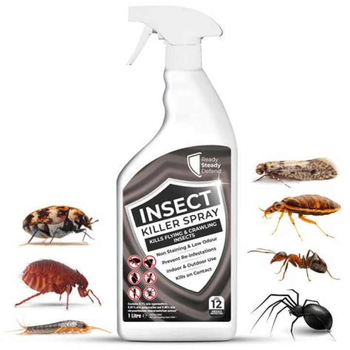 What spray kills potato bugs