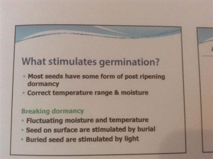 What stimulates germination