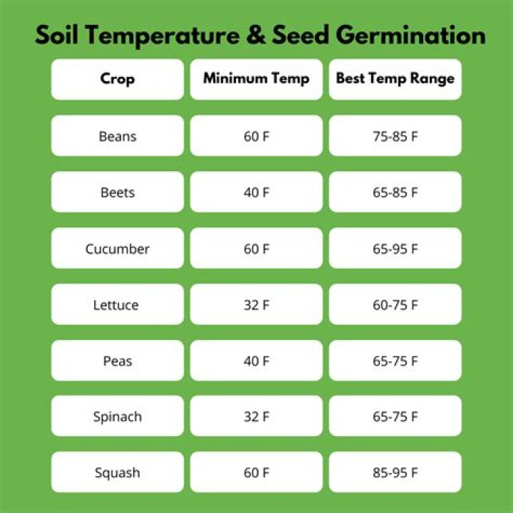 What temperature is the soil