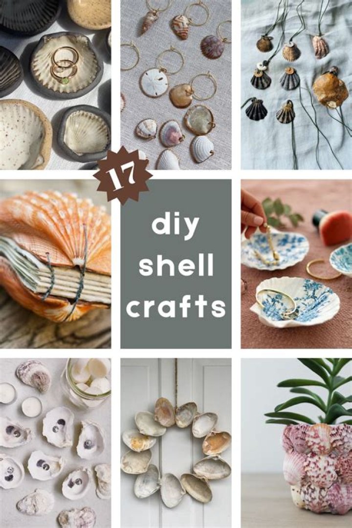 What to make using seashells