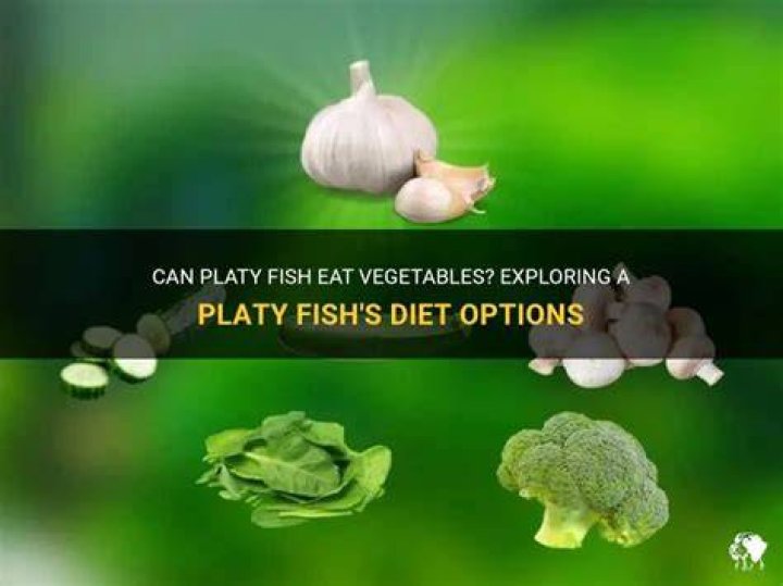 What vegetables can fish eat