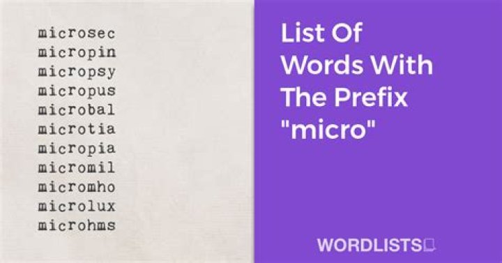 What word starts with micro