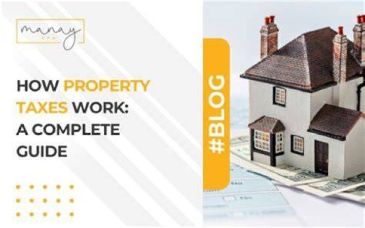 What you need to know about property taxes