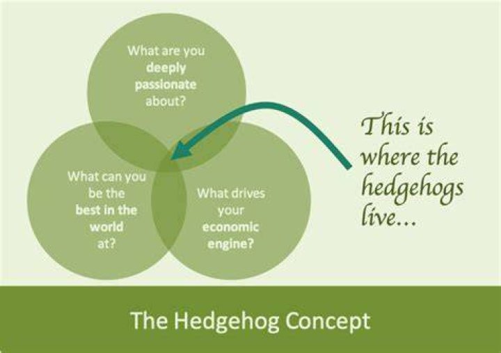 Whats your Hedgehog Concept