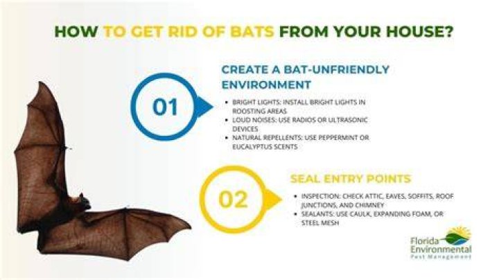 When can you not remove bats