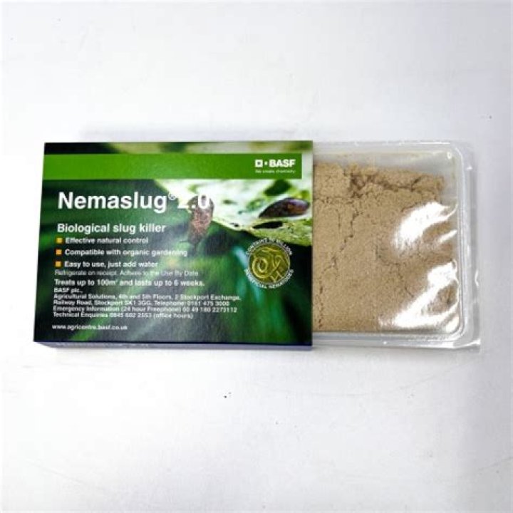 When should I apply Nemaslug