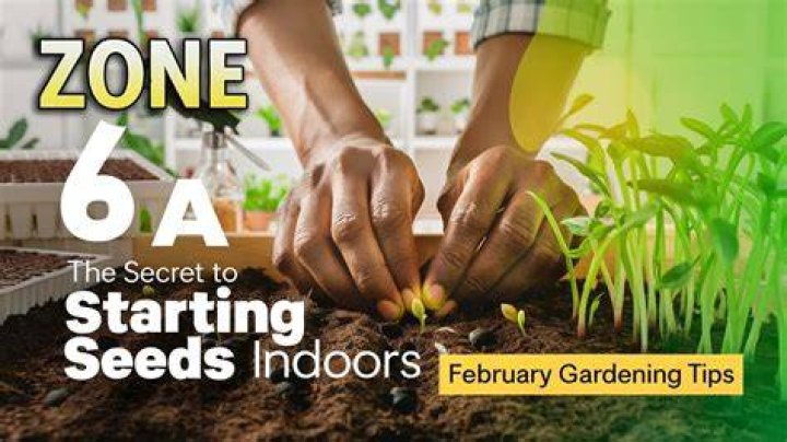 When should I start seeds in Zone 6