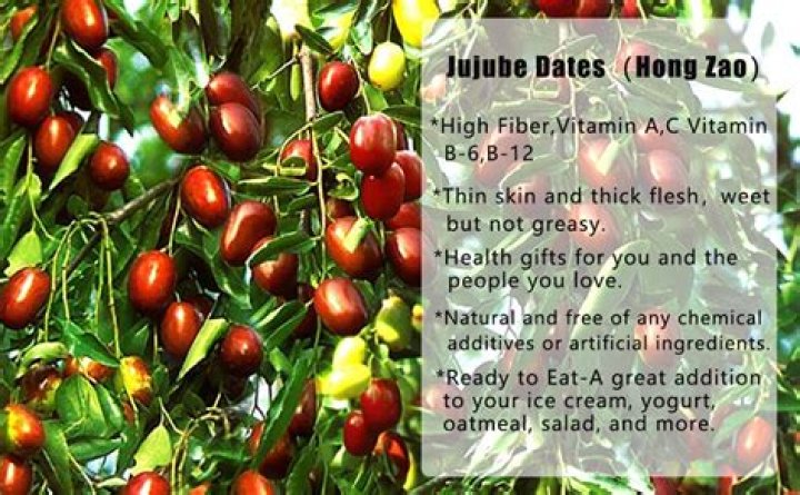 When should you eat jujubes