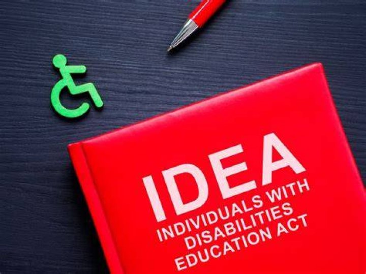 When was the IDEA law passed