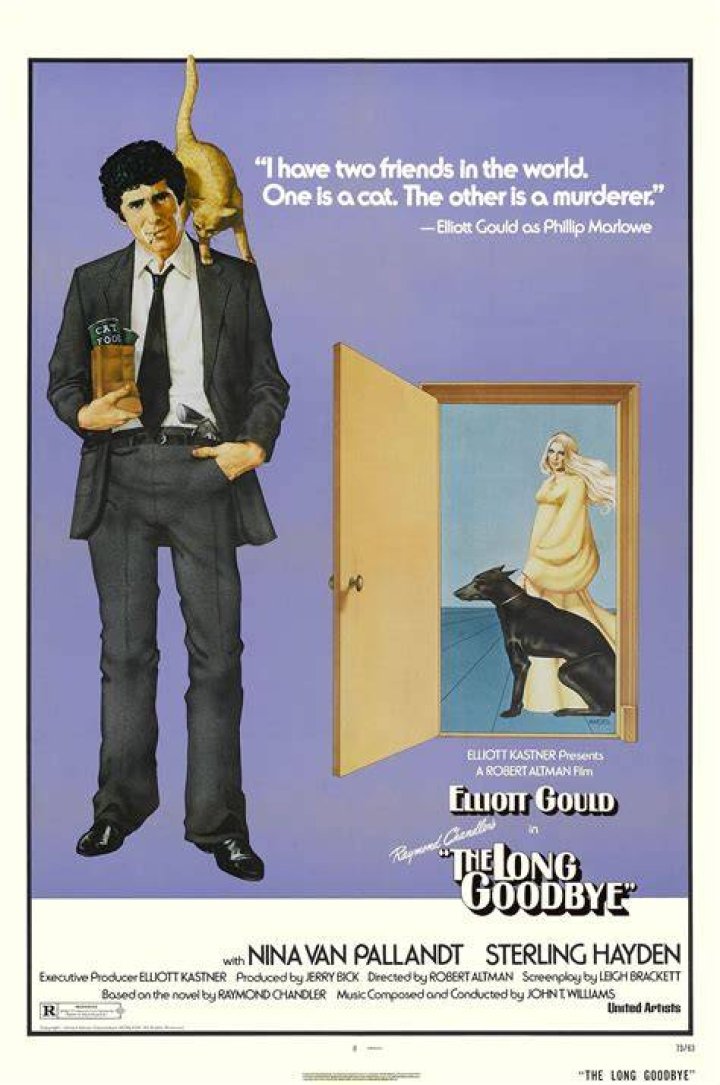 When was the long goodbye published