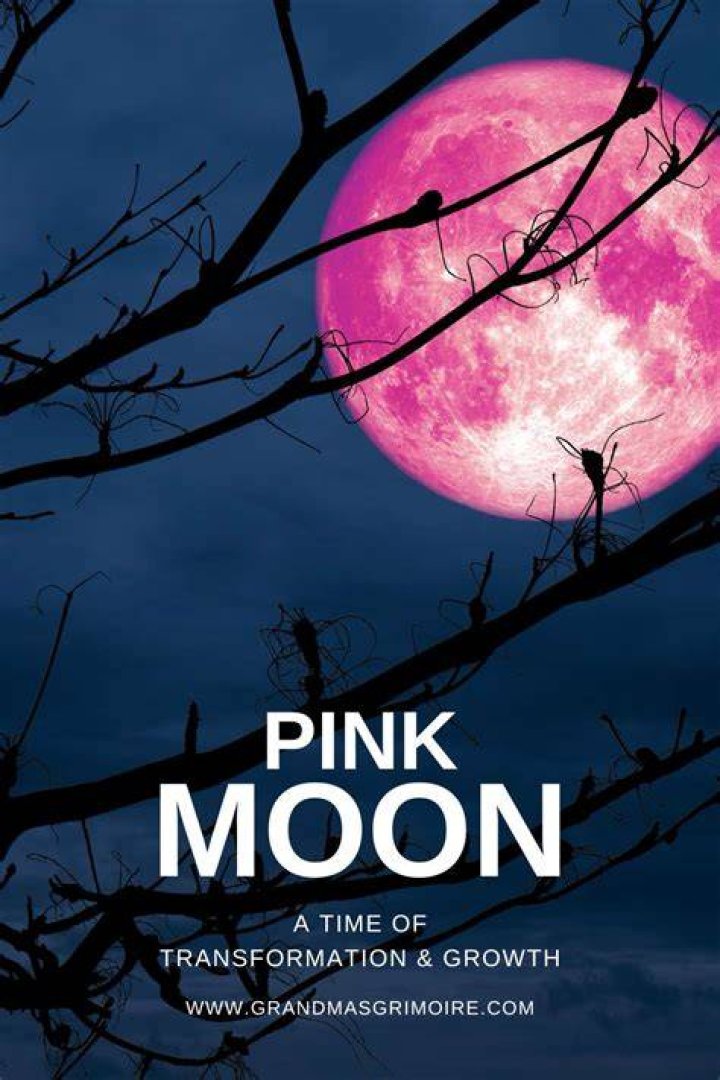 When was the Pink moon 2019
