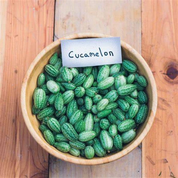 Where are Cucamelons
