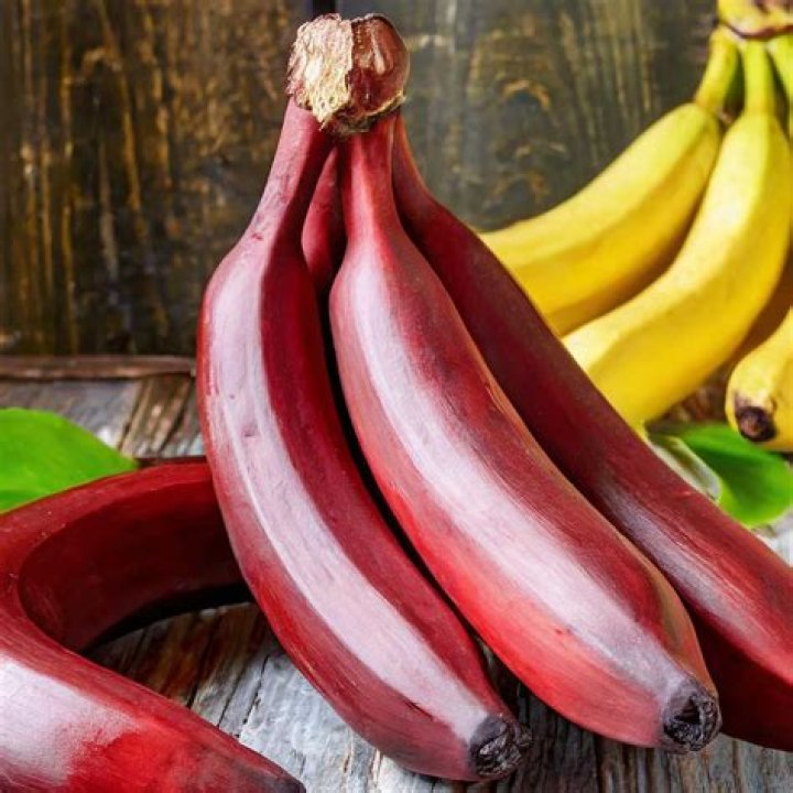 Where are red bananas found
