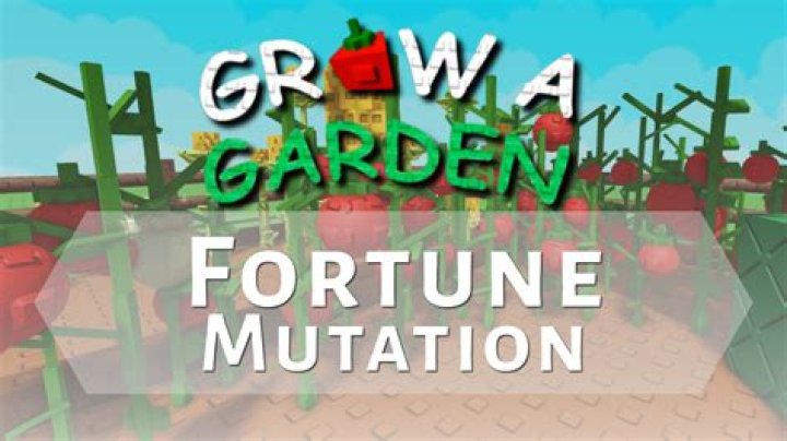 Where do fortune plants grow