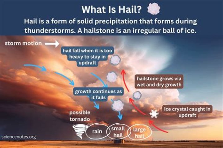 Where do u hail from meaning