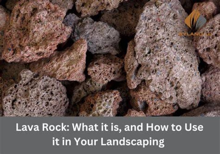 Where do you find lava rocks