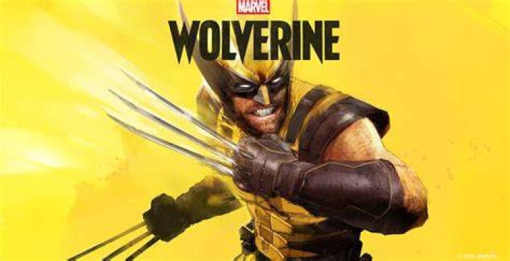 Where do you find Wolverines