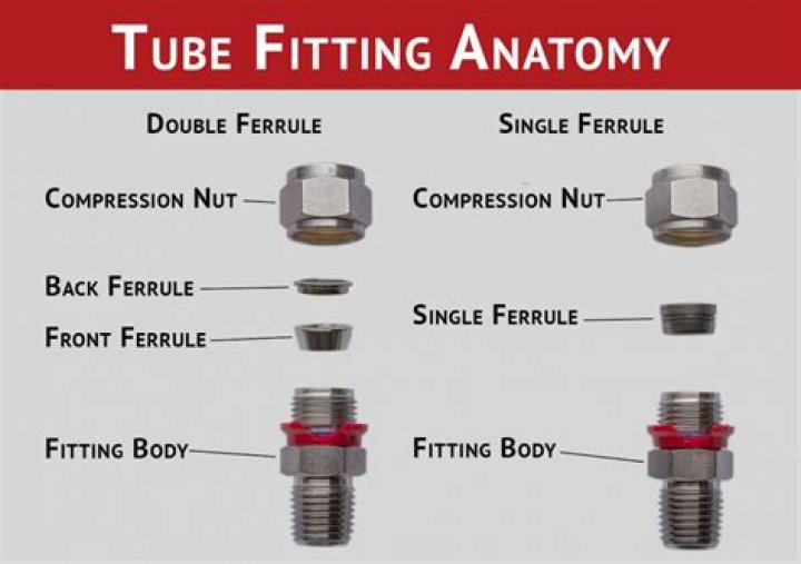 Where does ferrule come from