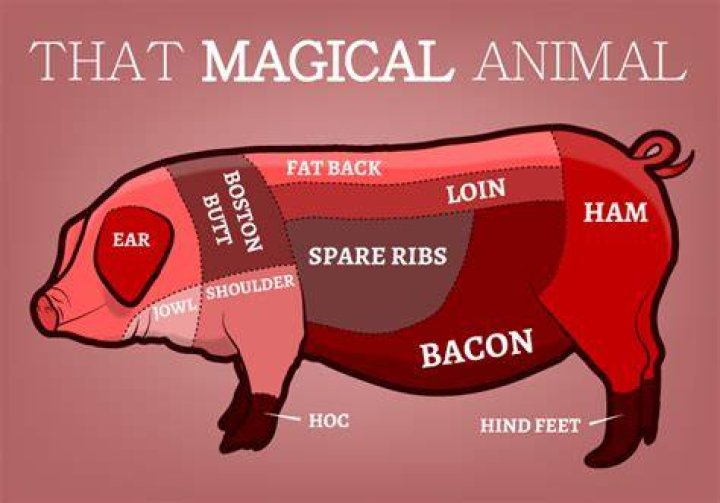 Where does the pig come from