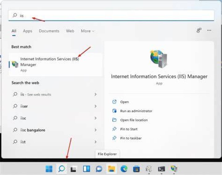 Where is IIS Express config