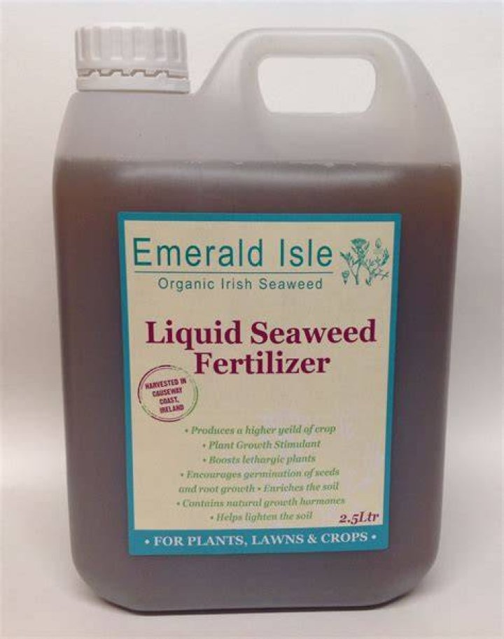 Where is liquid seaweed used