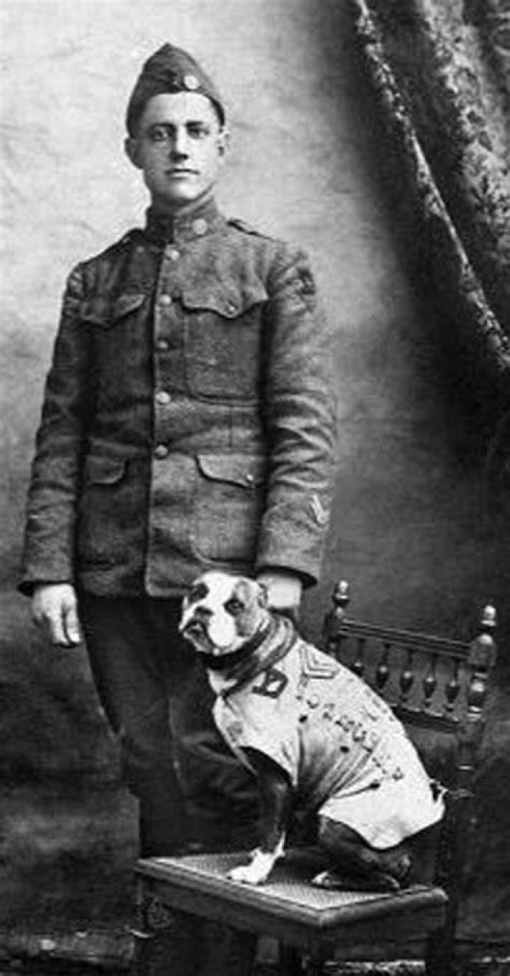 Where is Sergeant Stubby now
