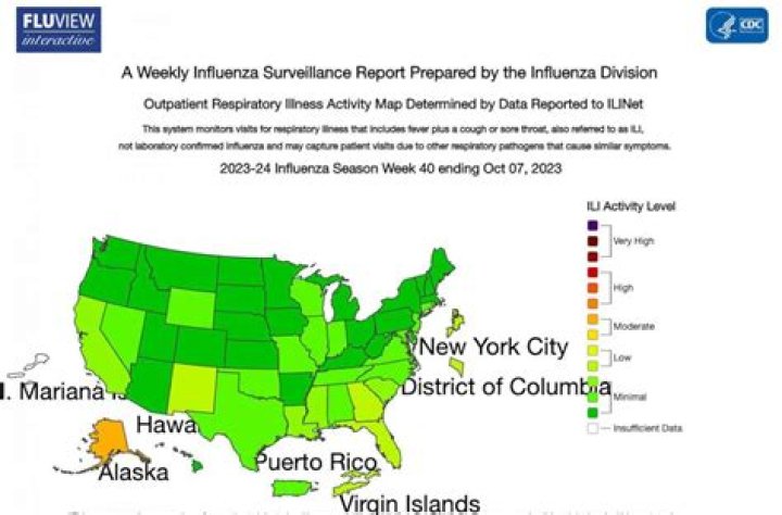 Where is the flu most common