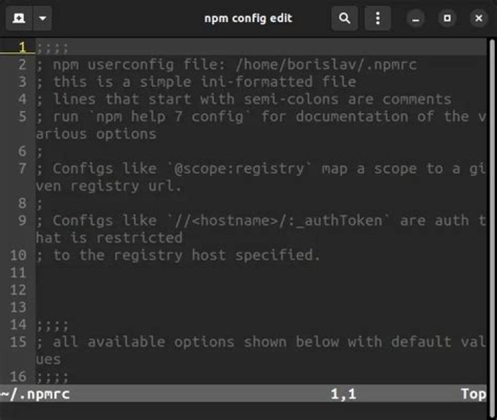 Where is the NPM config file