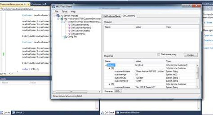 Where is the WCF Test Client