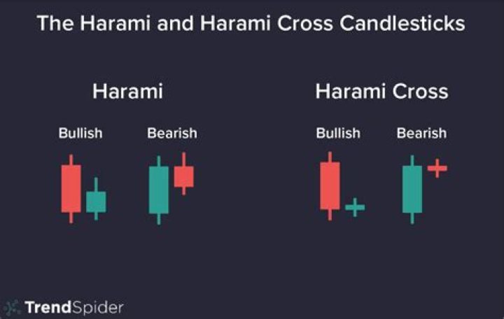 Which candle warmer is best