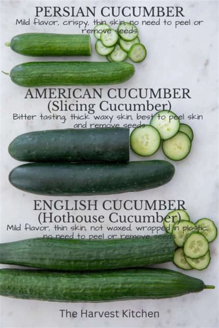 Which cucumbers are seedless