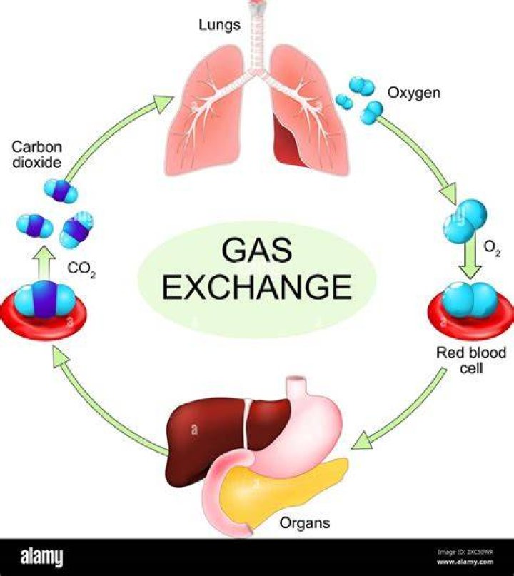 Which gas is non-oxygenated