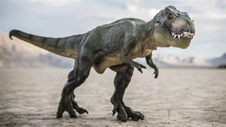 Which is better AZEK or Trex