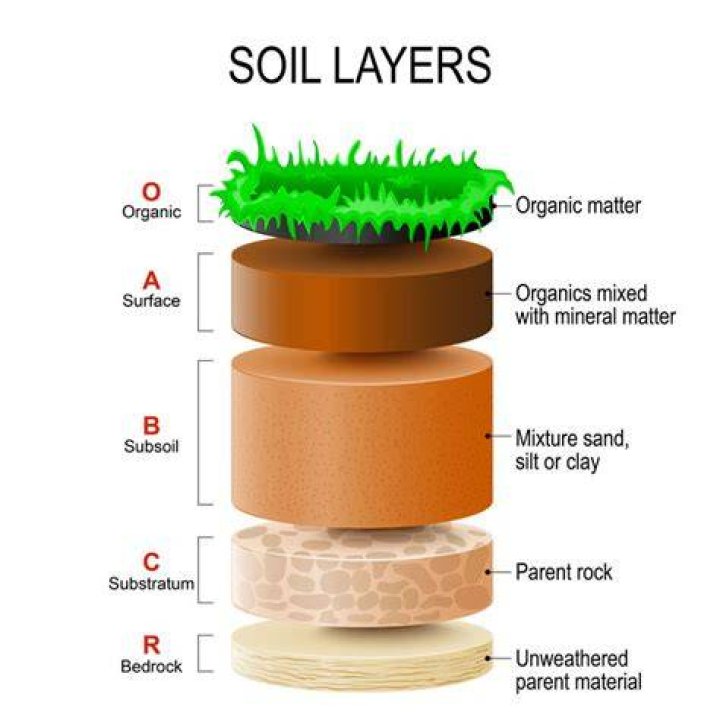 Which layer contains the most clay