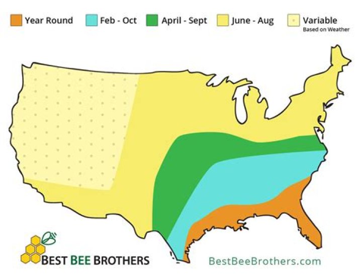 Which states have no see ums