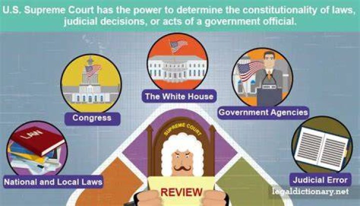 Who can use judicial review