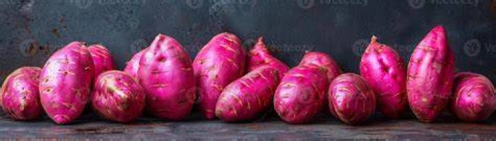 Who created the sweet potato