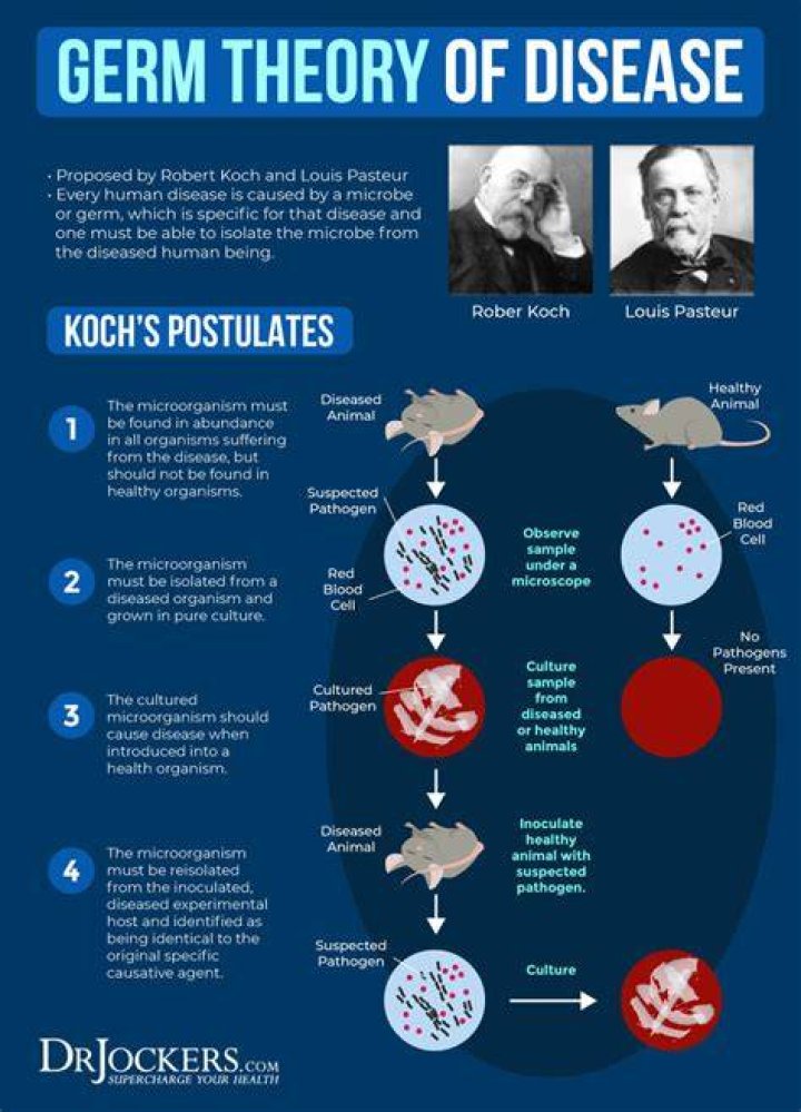 Who started the germ theory