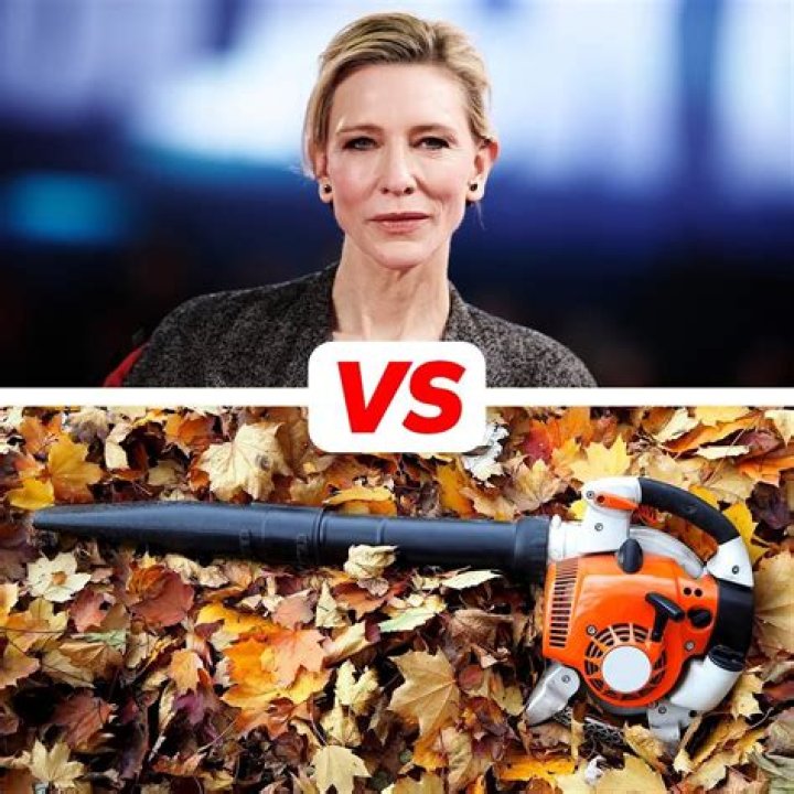 Why are leaf blowers so bad
